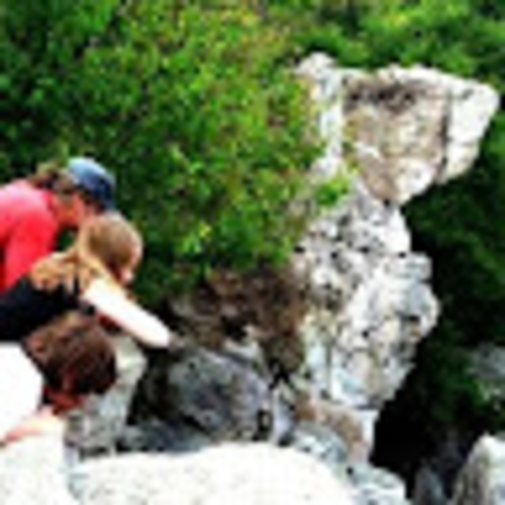 Meet your Posher, Little